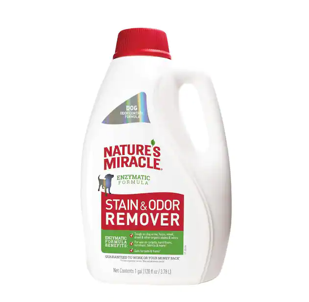 1 Gal. Stain and Odor Remover