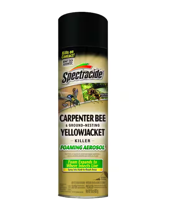 16 oz. Aerosol Carpenter Bee and Ground-Nesting Yellow jacket Killer Foam