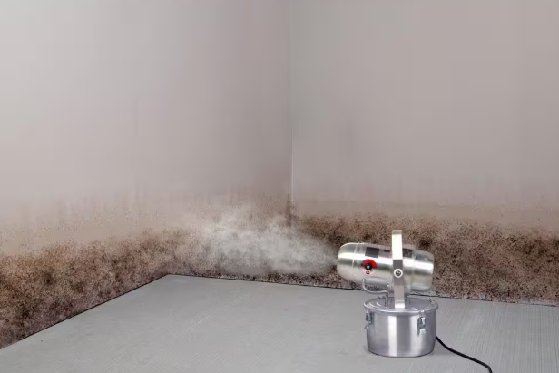 128 oz. Mold Control Fogger