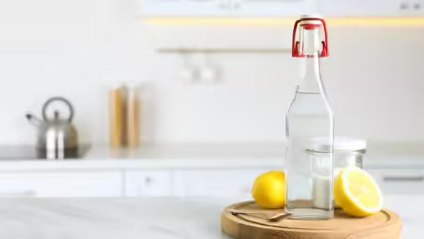 “Easy Kitchen Cleaning Tips”