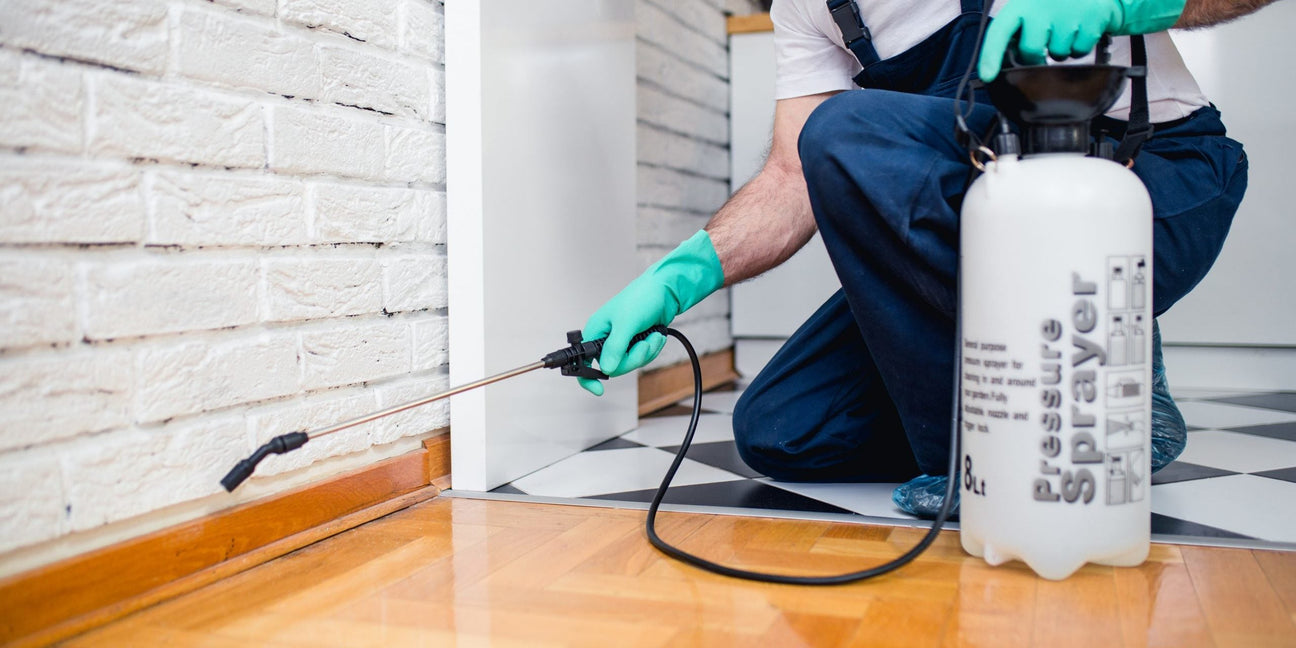 All Pest Control