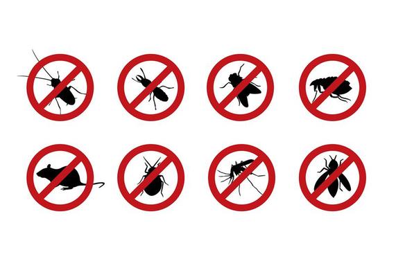 Insect Control