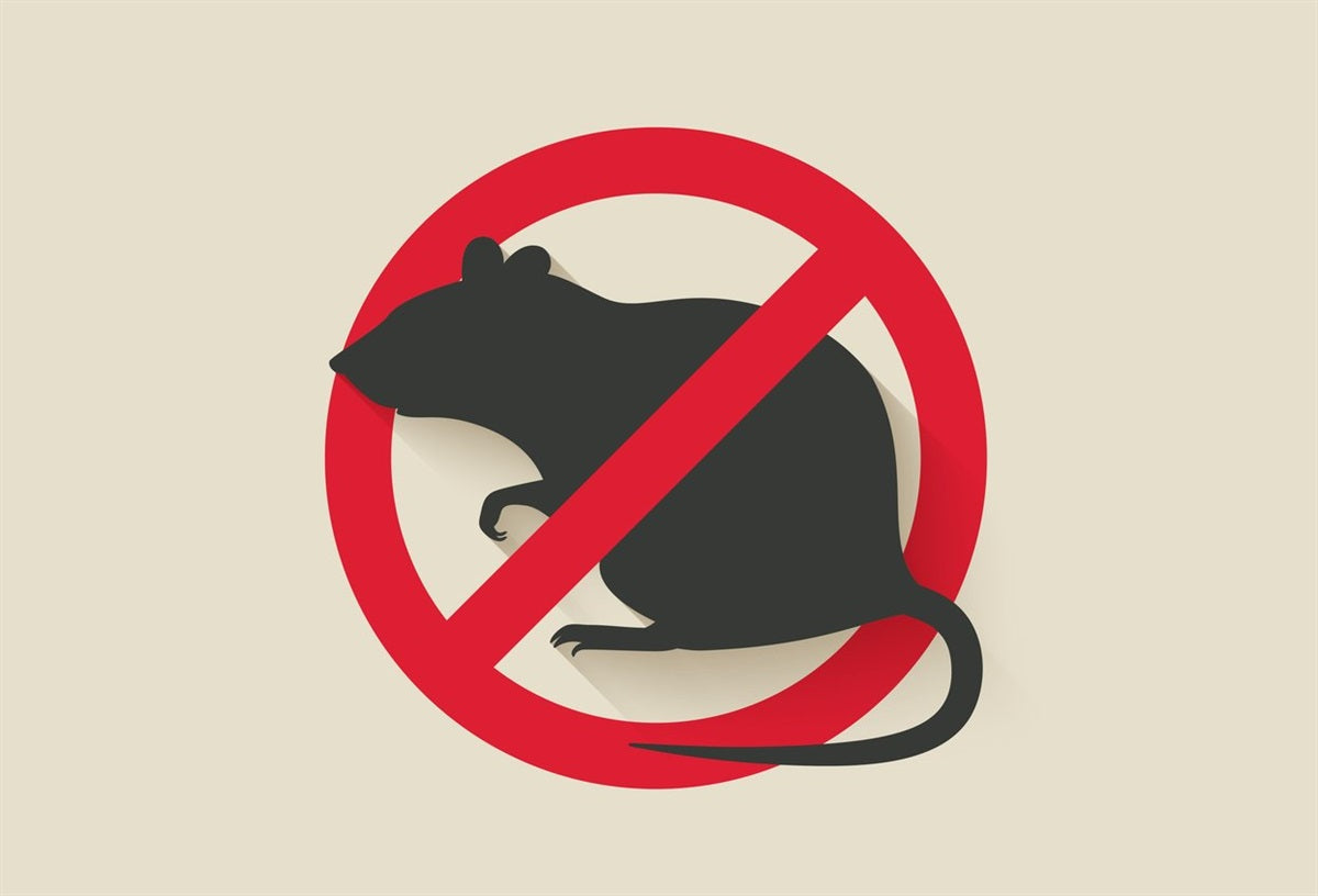 Animal & Rodent Control